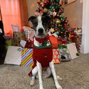 Meet your Posher, Ian